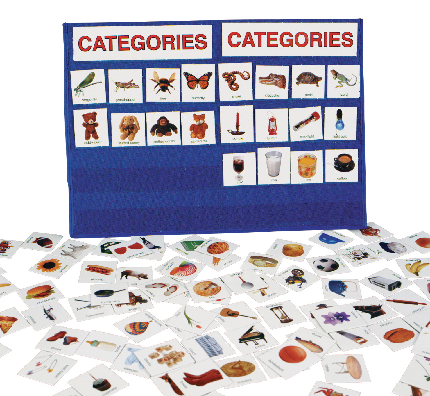 Categories With Pocket Chart